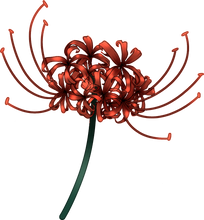 Load image into Gallery viewer, Red Lycoris | Traditional Japanese | Vinyl Sticker