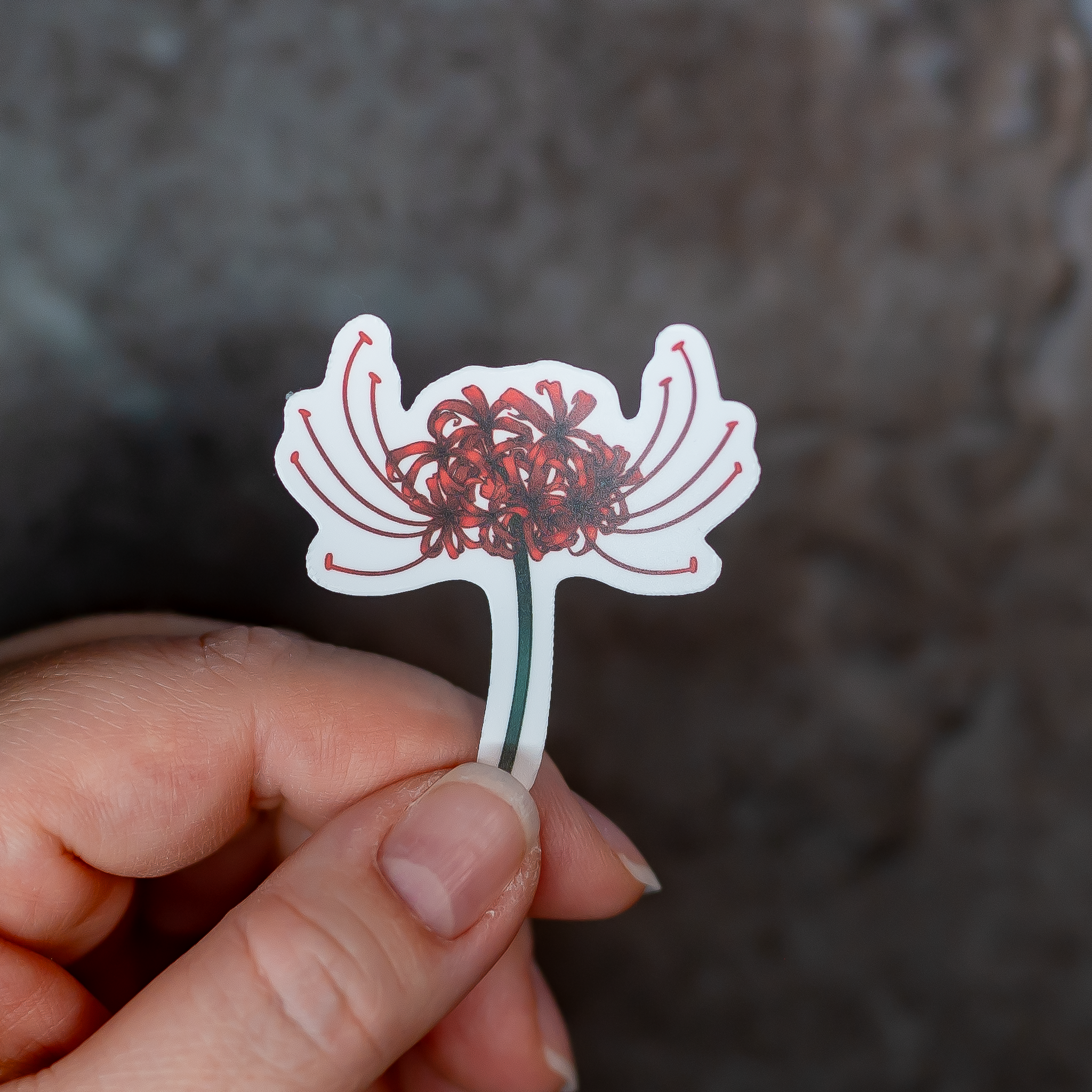 Red Lycoris | Traditional Japanese | Vinyl Sticker – Murasakoni